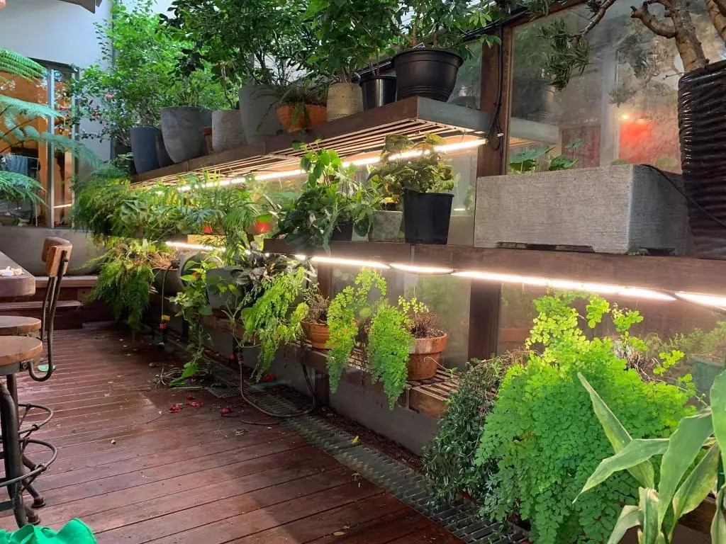 Lit garden and plant display area with integrated lighting.